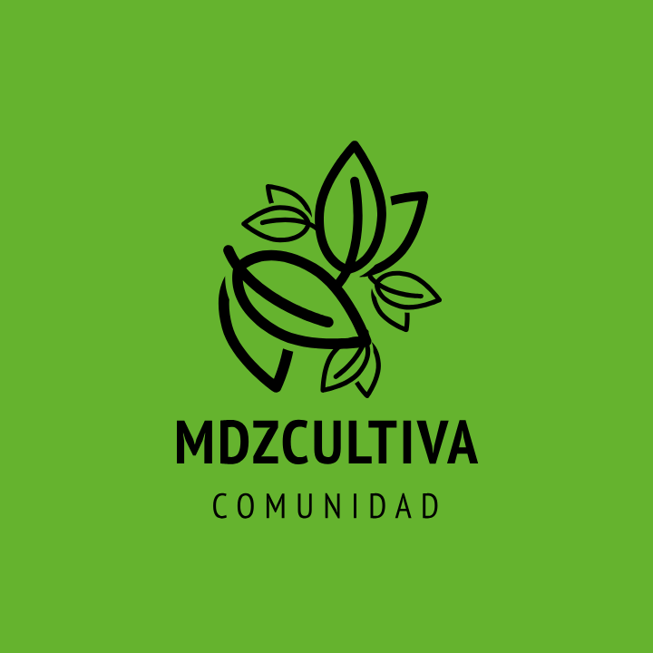 MDZ Cultiva — portada del caso